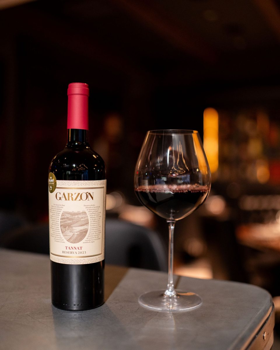 A bottle of Garzon Tannat Reserva 2023 beside a glass of red wine on a steel-topped table